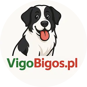 vigo bigos logo