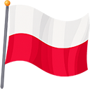 vigo bigos polski język